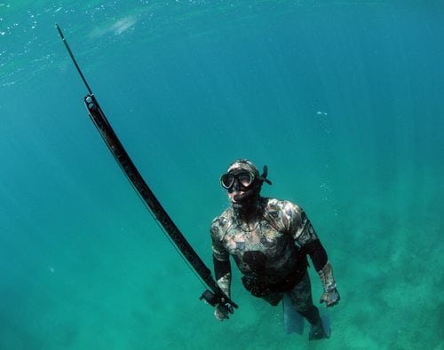 Go Spearfishing UK - Everything you need to start Spearfishing in