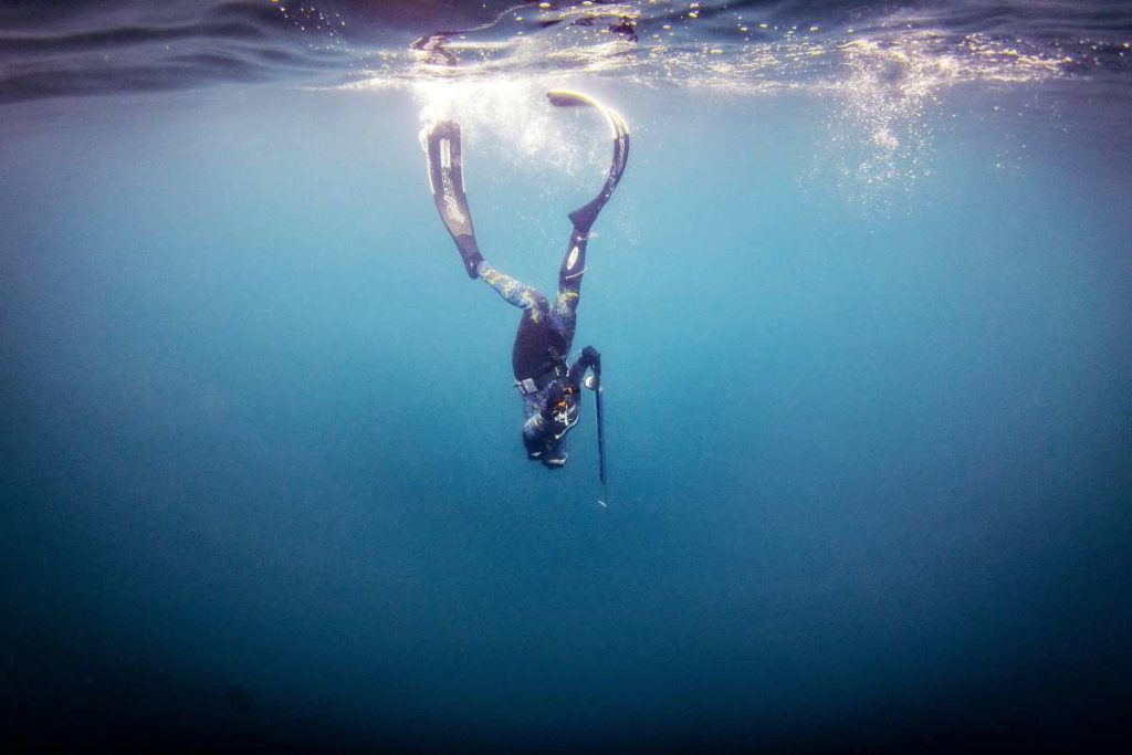 Spearfisherman descending from surface